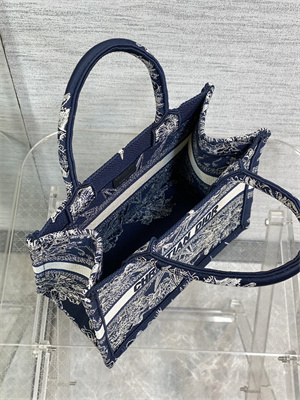 CD Small Book Tote R??ve d’Infini Embroidery Blue and White