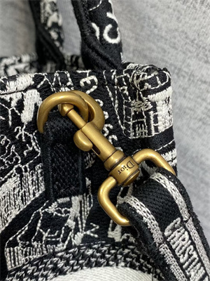 CD Mini Vertical Di.or Book Tote With Strap Plan de Paris Embroidery Black and White