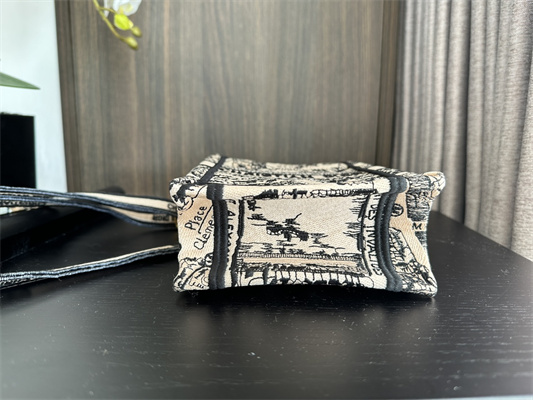 CD Mini Vertical Di.or Book Tote With Strap Plan de Paris Embroidery Beige and Black