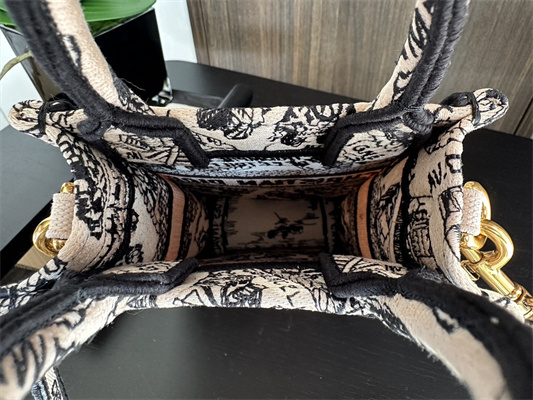 CD Mini Vertical Di.or Book Tote With Strap Plan de Paris Embroidery Beige and Black