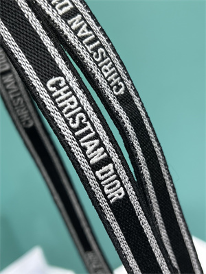 CD Mini Vertical Di.or Book Tote With Strap Petites Fleurs Embroidery Nude Beige Multicolor