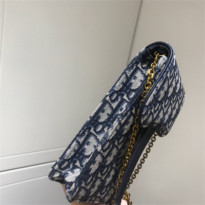 CD Phone holder With Chain Blue Oblique Jacquard