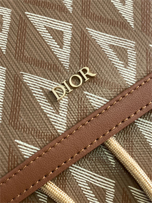 large di.or hit the road backpack brown cd Di*m*nd canvas