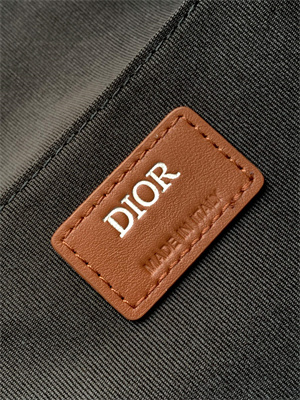 Large Di.or X Cactus Jack Hit The Road Backpack Brown Oblique Jacquard