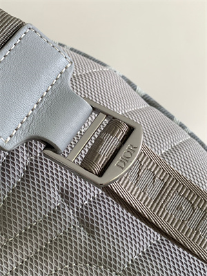 di.or rider backpack grey cd Di*m*nd canvas and smooth calfskin