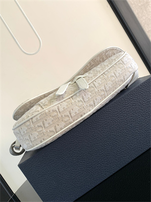 Di.or Saddle Bag Beige Oblique Jacquard