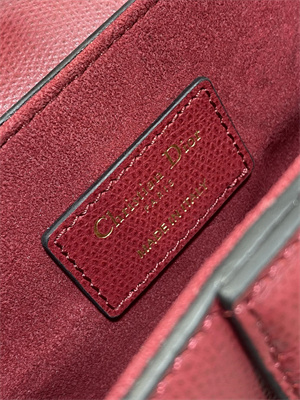 CD Mini Saddle Bag Grained Calfskin Wine Color