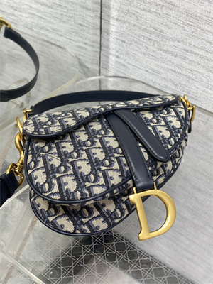 CD Mini Saddle Bag Oblique Jacquard Blue Color