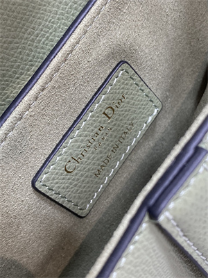 CD Mini Saddle Bag Grained Calfskin Lt Green Color