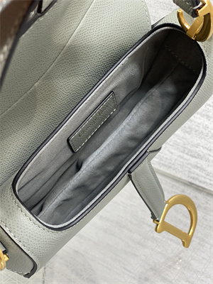 CD Mini Saddle Bag Grained Calfskin Stone Grey Color