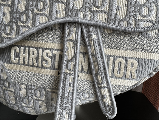 CD Saddle Bag Oblique Embroidery Gray Color