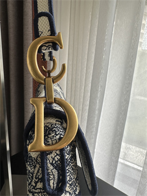 CD Saddle Bag Toile de Jouy Embroidery Blue Color