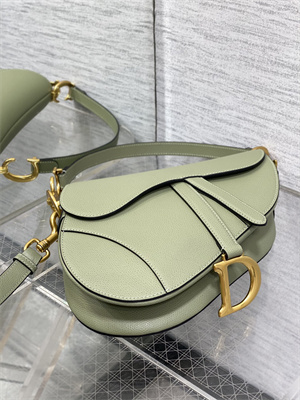 CD Saddle Bag Grained Calfskin Lt Green Color