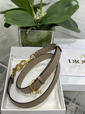 CD Saddle Bag Grained Calfskin Warm Taupe Color