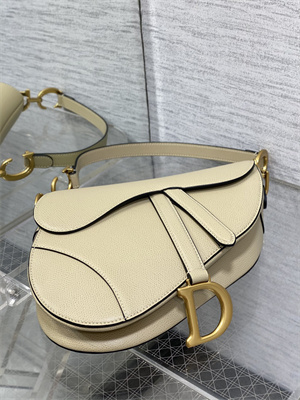 CD Saddle Bag Grained Calfskin Sand Color
