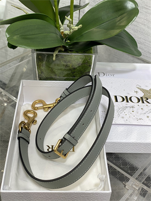 CD Saddle Bag Grained Calfskin Stone Grey Color