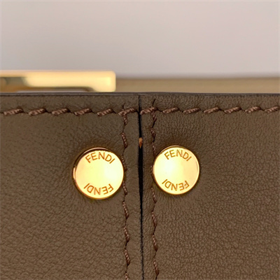 Fen.di Peekaboo X-Lite Medium Leather Bag Brown Color