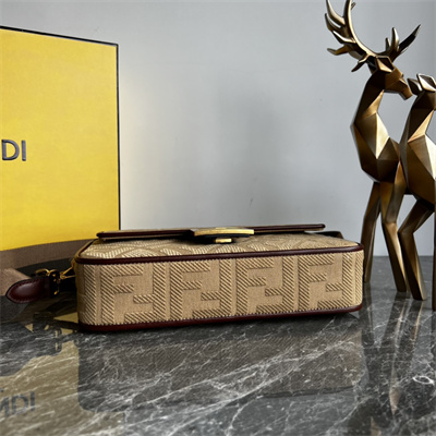 Fen.di BAGUETTE Brown FF Canvas Bag