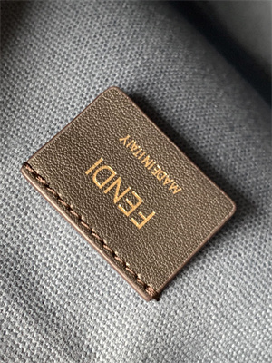 Fen.di MON TRESOR Blue Canvas FF Mini Bag