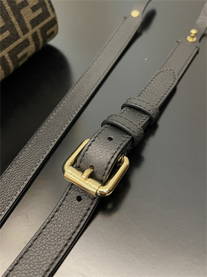 Fen.di Fendace LA Medusa Meidum Handbag