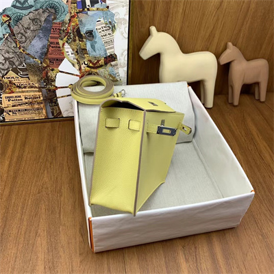 Kelly Danse Bag Evercolor Leather Silver Tone Metal In Jaune Poussin Color HS