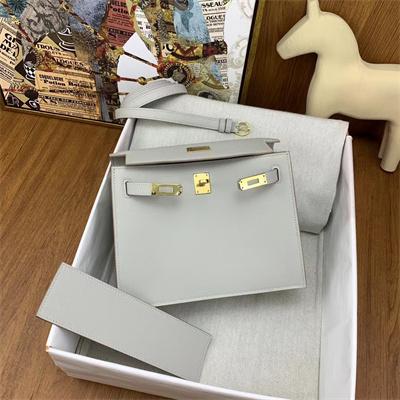 Kelly Danse Bag Evercolor Leather Gold Tone Metal In Pearl Grey Color HS