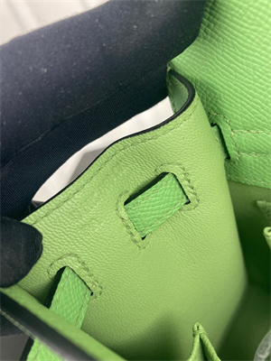 Kelly Sellier Bag Epsom Leather 25/28CM Gold/Silver Hardware In Vert Criquet Color HS