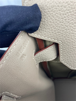 Bir.kin Bag TOGO Leather 25/30/35CM Gold/Silver Hardware In Trench Color HS