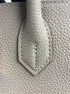 Bir.kin Bag TOGO Leather 25/30/35CM Gold/Silver Hardware In Trench Color HS