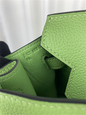 Bir.kin Bag TOGO Leather 25/30/35CM Gold/Silver Hardware In Vert Criquet Color HS