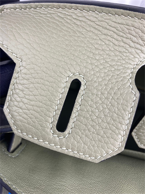 Bir.kin Bag TOGO Leather 25/30/35CM Gold/Silver Hardware In Sauge  Color HS