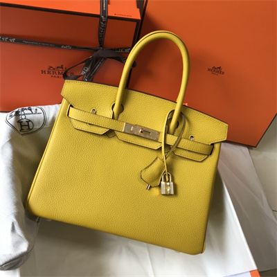 Bir.kin Bag Calfskin Leather 25/30/35CM Gold/Silver Hardware In Jaune Amber Color
