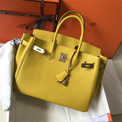 Bir.kin Bag Calfskin Leather 25/30/35CM Gold/Silver Hardware In Jaune Amber Color