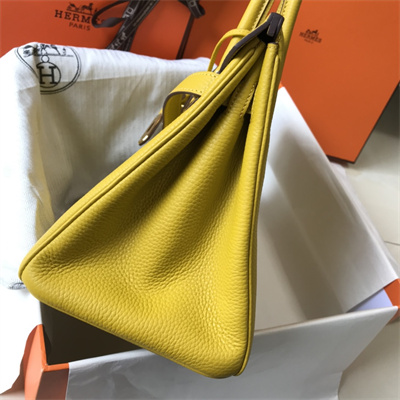 Bir.kin Bag Calfskin Leather 25/30/35CM Gold/Silver Hardware In Jaune Amber Color