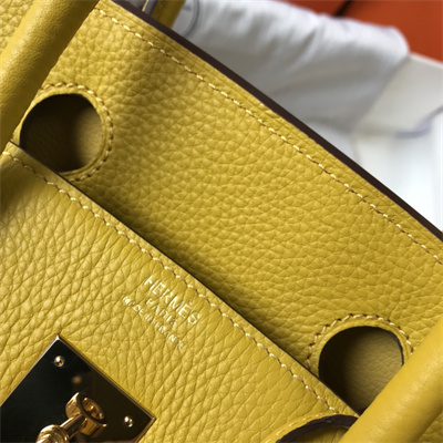 Bir.kin Bag Calfskin Leather 25/30/35CM Gold/Silver Hardware In Jaune Amber Color