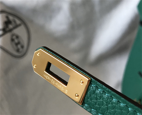 Bir.kin Bag Calfskin Leather 25/30/35CM Gold/Silver Hardware In Vert Vertigo Color