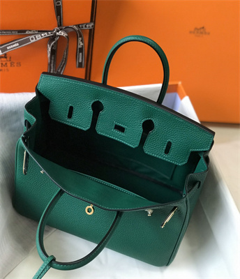 Bir.kin Bag Calfskin Leather 25/30/35CM Gold/Silver Hardware In Vert Vertigo Color