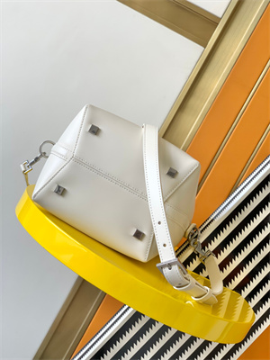 Y.S.L LE 37 SMALL In White Shinny Leather Bucket Bag