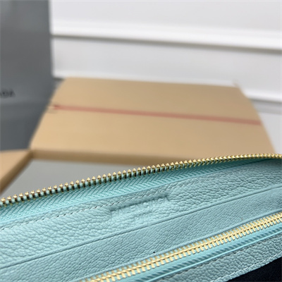 Le Cagole Continental Zippy Wallet In Goatskin Aqua Green Color