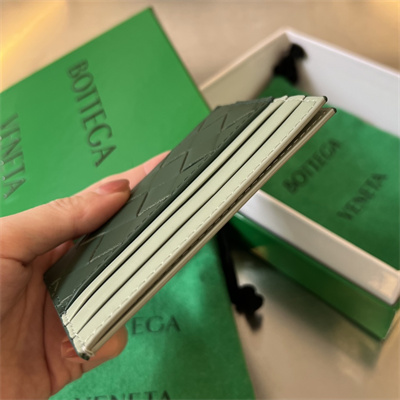 BV Card holder In Calfskin Leather Raintree/New Sauge