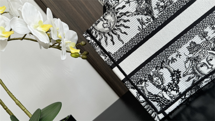 CD Small Book Tote White and Black Toile de Jouy Solei Embroidery