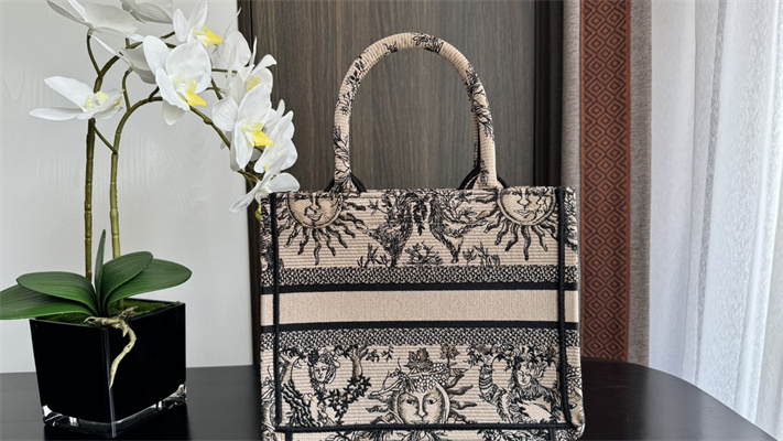 CD Small Book Tote Beige and Black Toile de Jouy Solei Embroidery