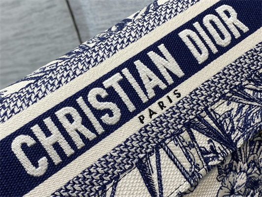 CD Small Camp Bag Blue R??ve d’Infini Embroidery