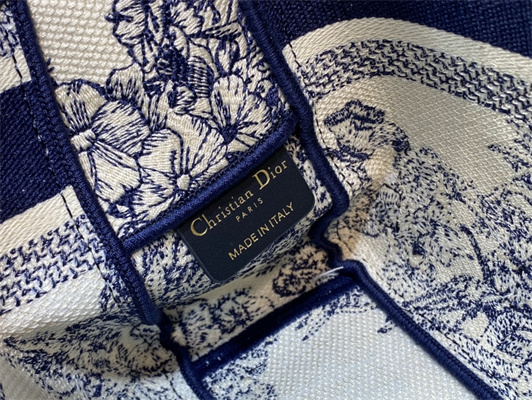 CD Small Camp Bag Blue R??ve d’Infini Embroidery