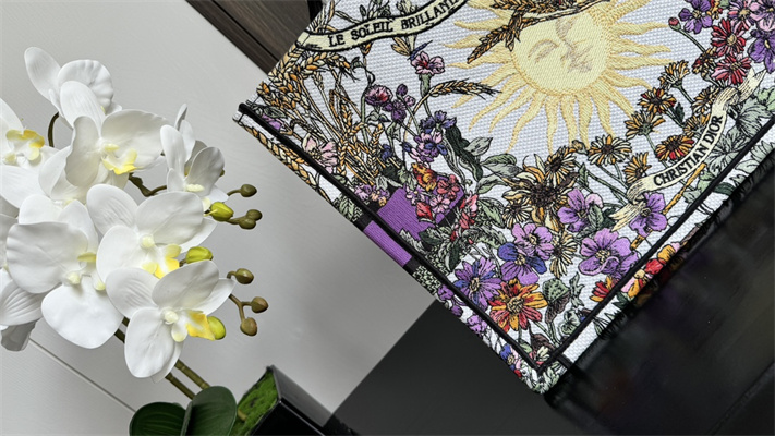 CD Medium Book Tote Ecru Multicolor Di.or 4 Saisons ??t?? Soleil Embroidery