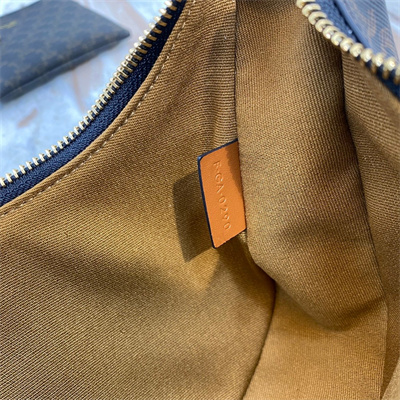 Ce**e ava bag in triomphe canvas and calfskin tan