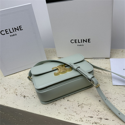 Ce**e teen triomphe bag in shiny calfskin pale green color