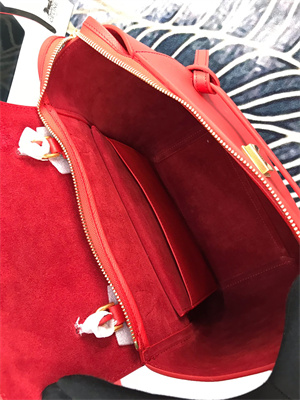 Ce**e micro belt bag in red grained calfskin