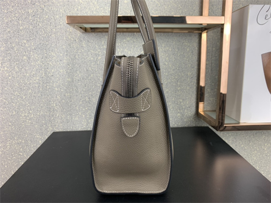 Ce**e micro luggage bag in souris drummed calfskin silver tone metal