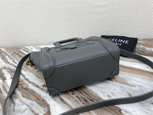 Ce**e nano luggage bag in kohl drummed calfskin gold tone metal